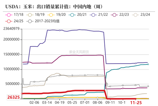 玉米：静待花开